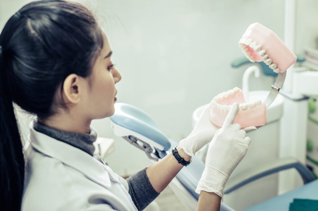 Female dentist explaining artificial teeth to patient in clinic